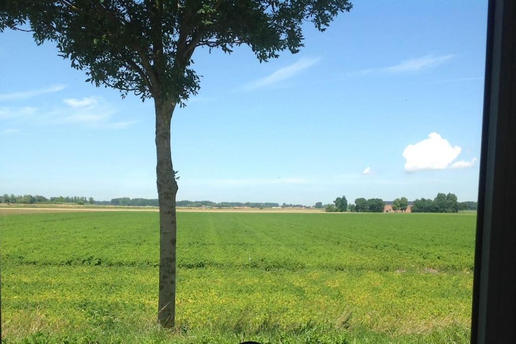 Dijkhuisje Zeeland Waterlandkerkje Bagian luar foto