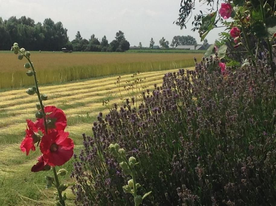 Dijkhuisje Zeeland Waterlandkerkje Bagian luar foto
