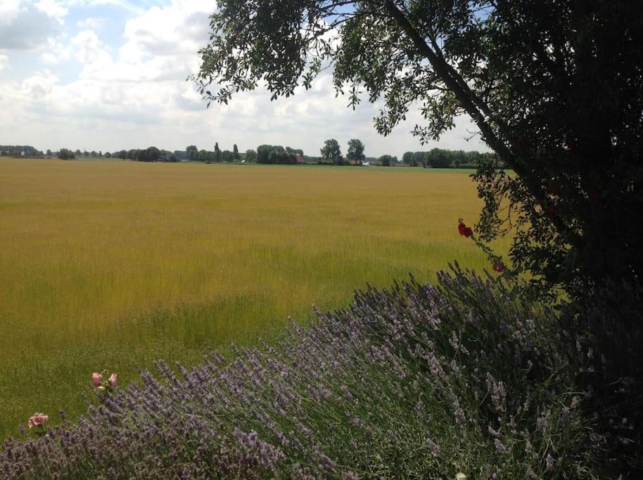 Dijkhuisje Zeeland Waterlandkerkje Bagian luar foto