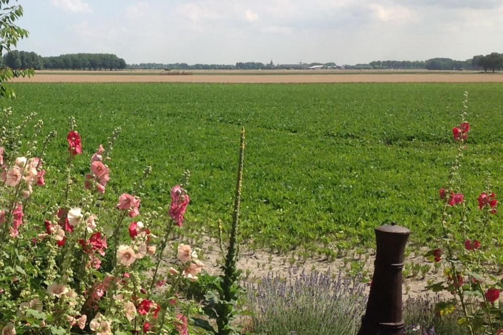 Dijkhuisje Zeeland Waterlandkerkje Bagian luar foto