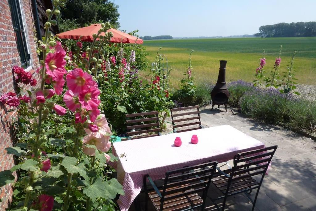 Dijkhuisje Zeeland Waterlandkerkje Bagian luar foto